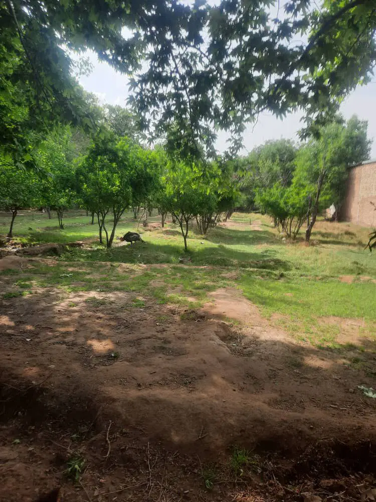 زمین.باغ.باغچه.ویلا قابل ساخت