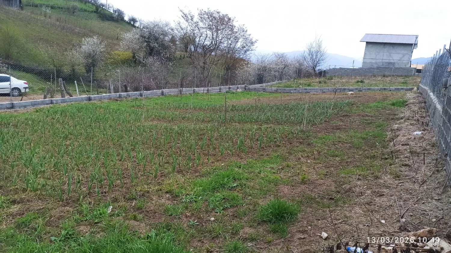 فروش زمین در روستای زیبای ورکی