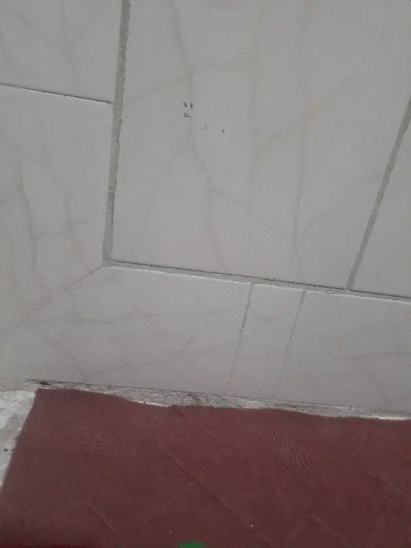 اجاره آپارتمان