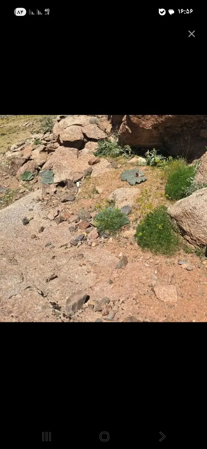 زمین رباط سرخ ۲۰۷ متری دوبر