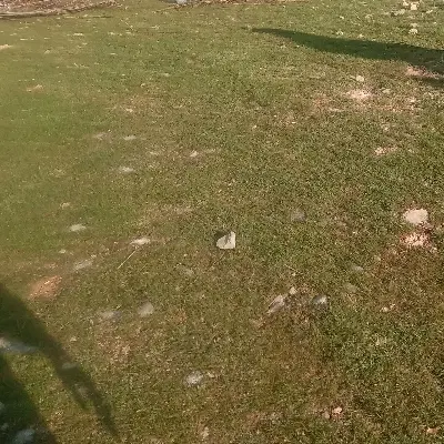 زمین ۱۵۰ متری آماده ساخت