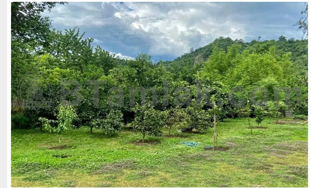زمین مناسب باغ و گلخانه