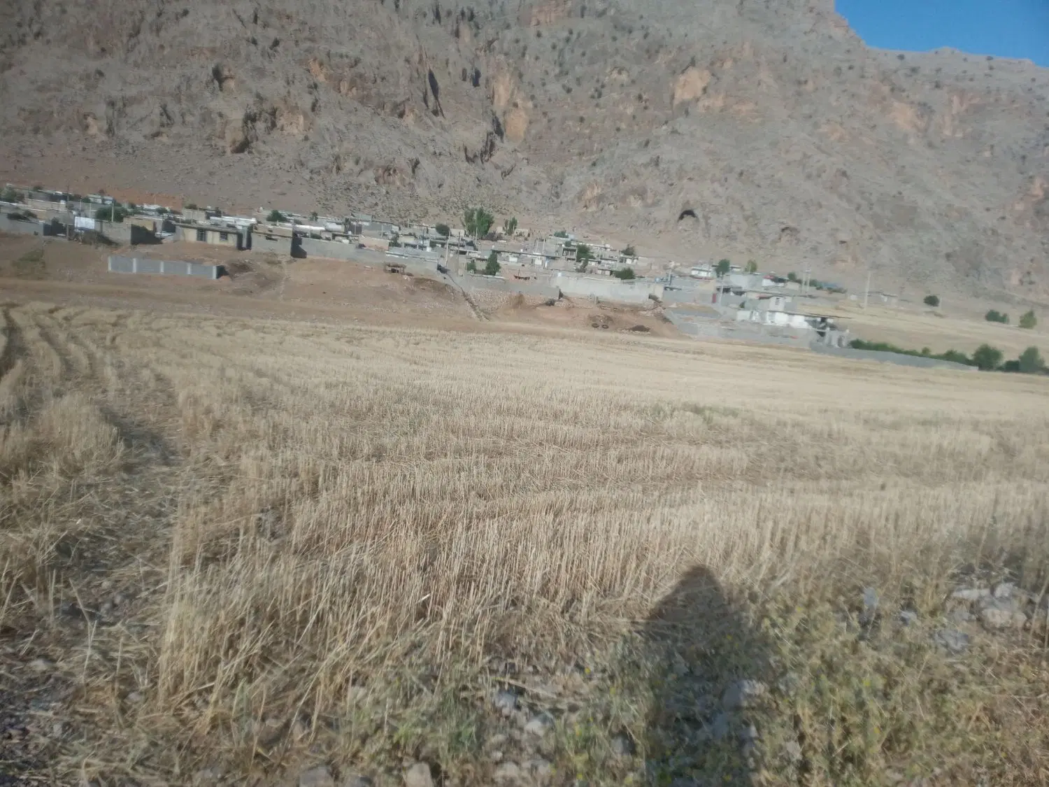 فروش زمین در روستای ناشلیل