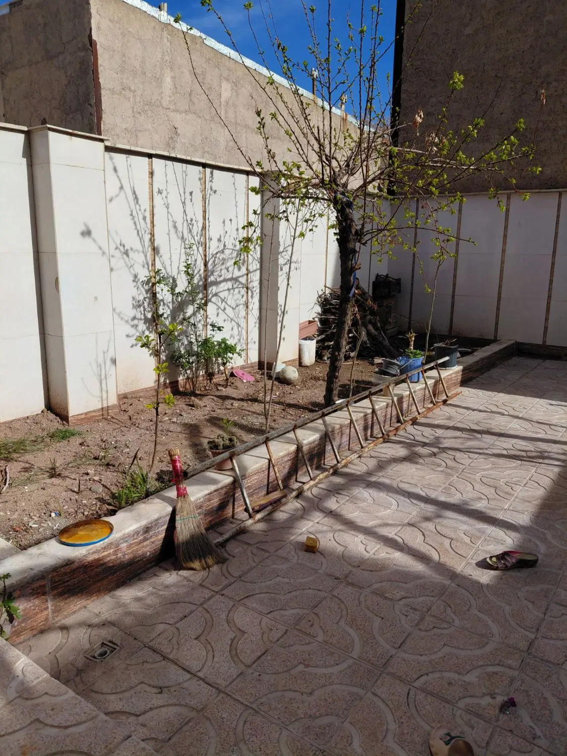 خونه اجاره‌ای خیابان طالقانی نسترن 12