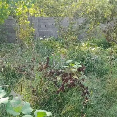 زمین مسکونی