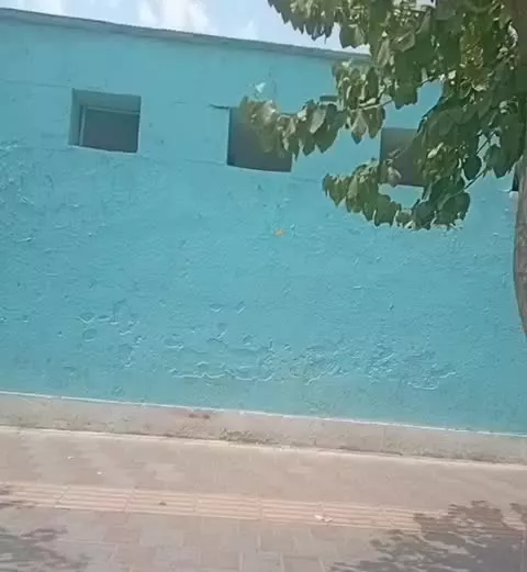 اجاره آپارتمان مجتمع ارکیده