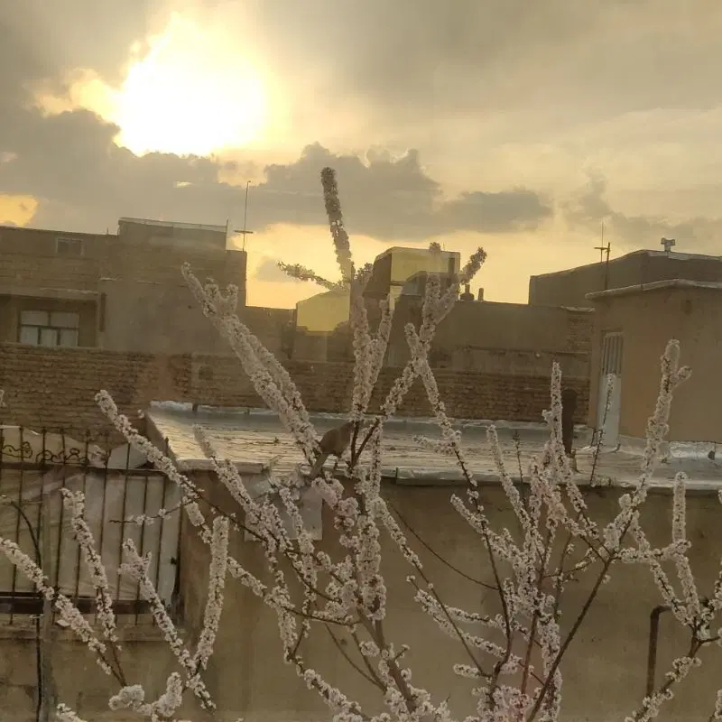 اجاره ی واحد ۶۸ متری