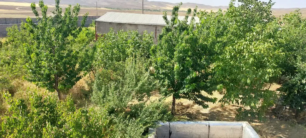 باغ ویلا