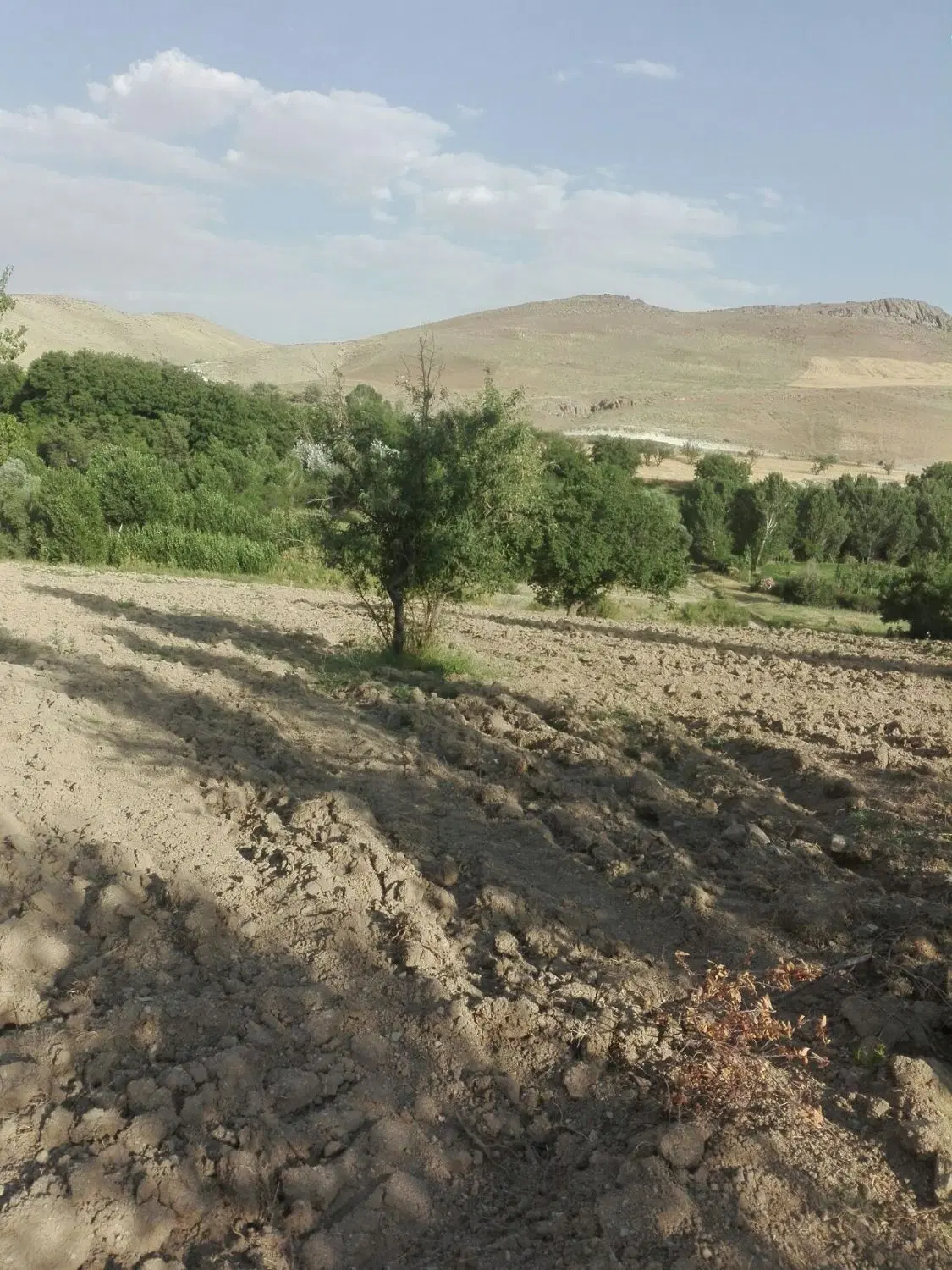 باغ در نزدیکی زنجان