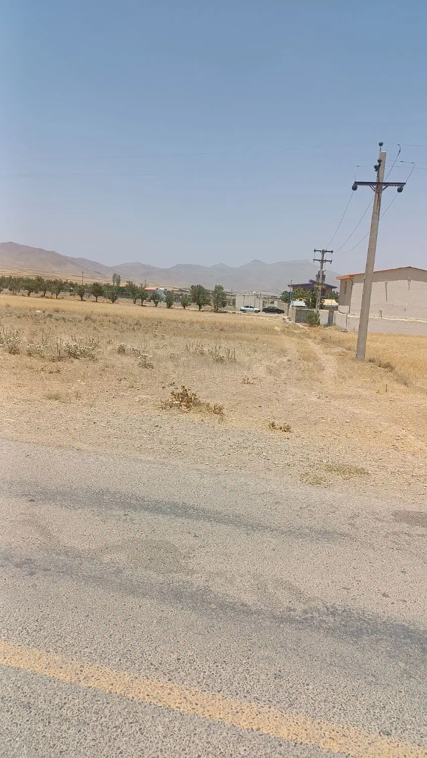 زمین باغی