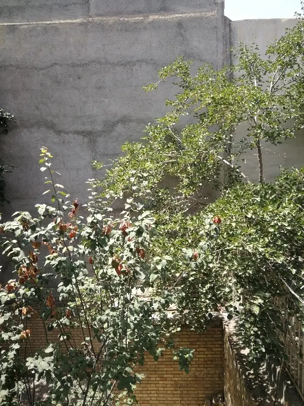 2طبقه دربست ویلایی