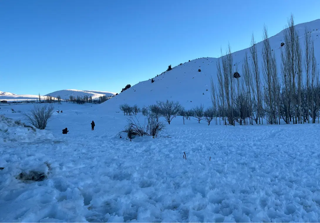 زمین باغی مسکونی محمداباد ساردو