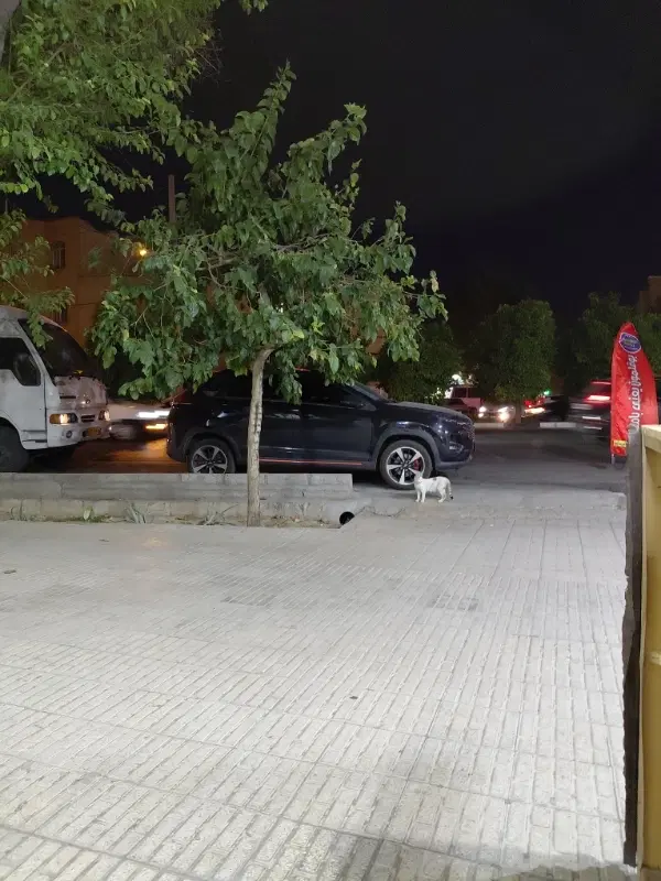 منزل قدیمی ۱۰۰ متری بلوار اتحاد سر کوچه ۵۲
