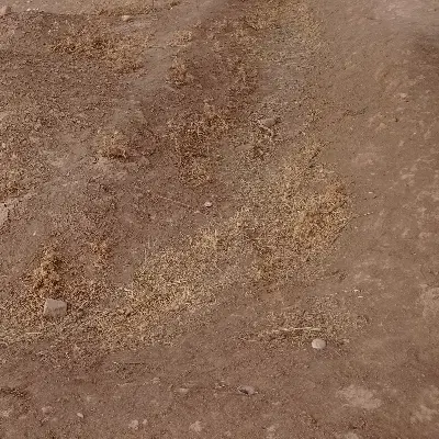 یکنیم دانگ زمین فازکارمندان