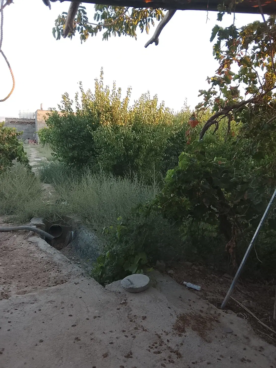 باغ دیزج نزدیک اسفالت
