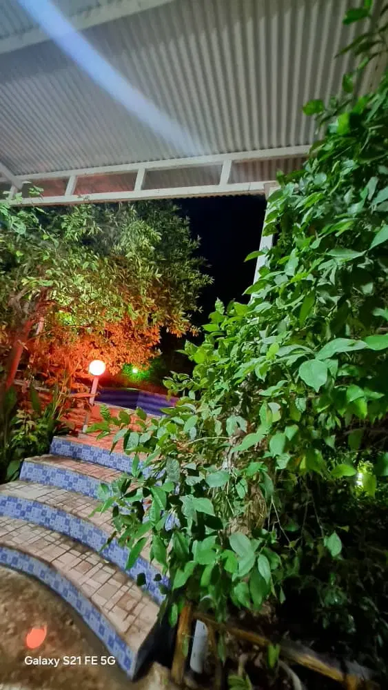 فروش باغ