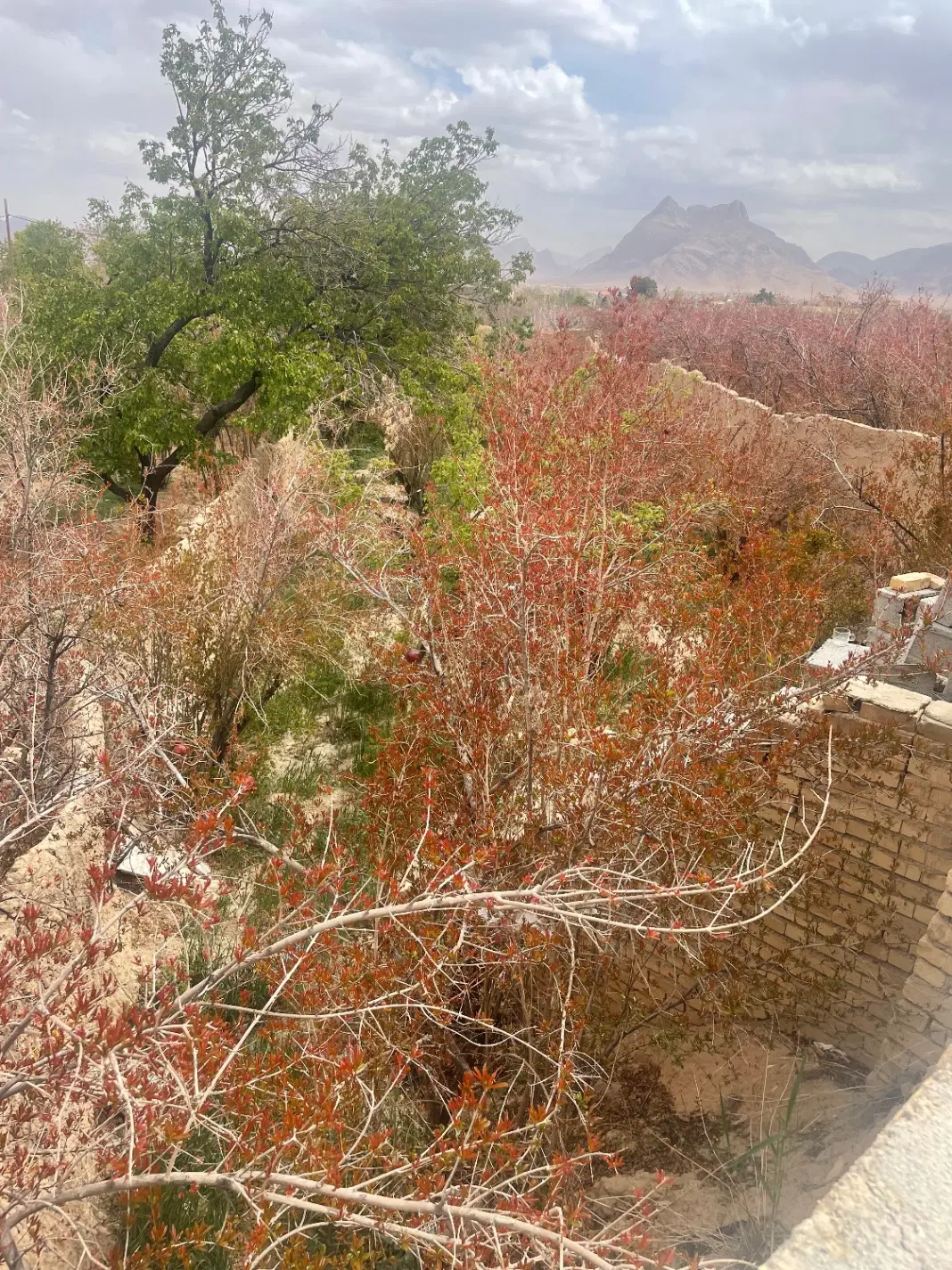 فروش زمین