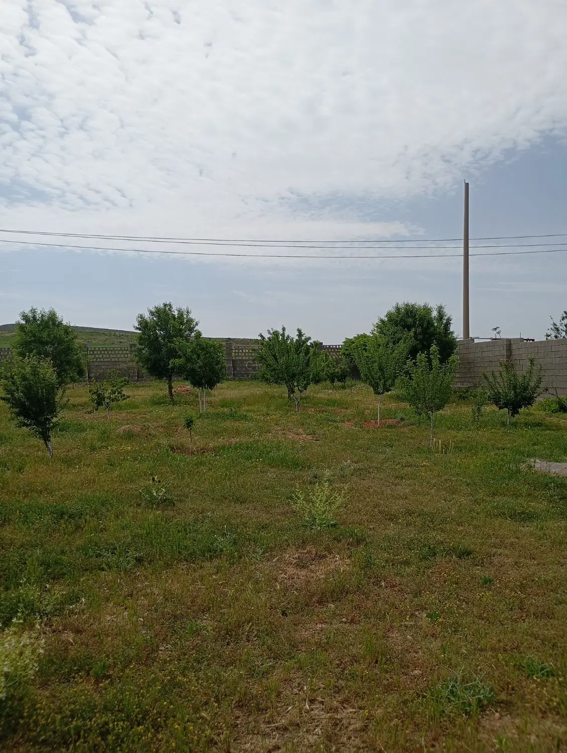 باغ شهری خان خمیس (سیاخ دارنگون)