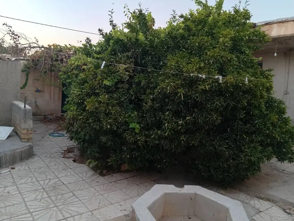 منزل مسکونی و تجاری
