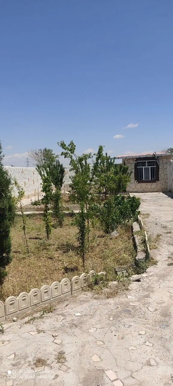 باغ نقلی در باغمعروف