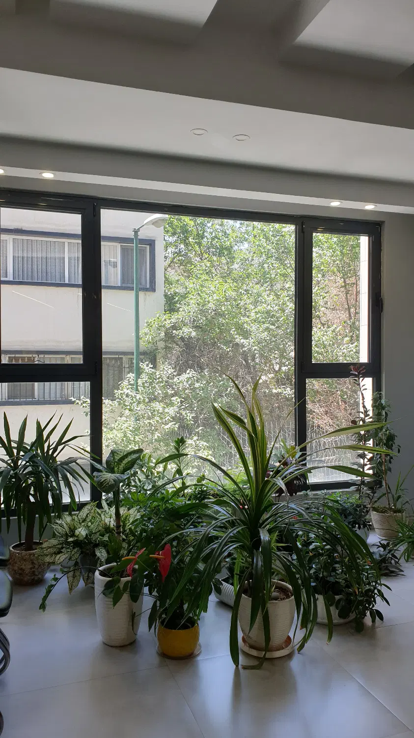 مجاور پارک ساعی