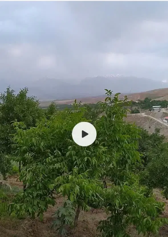 باغ و بیشه با آب درگیجالی