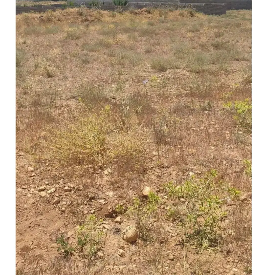 زمین باغشهری