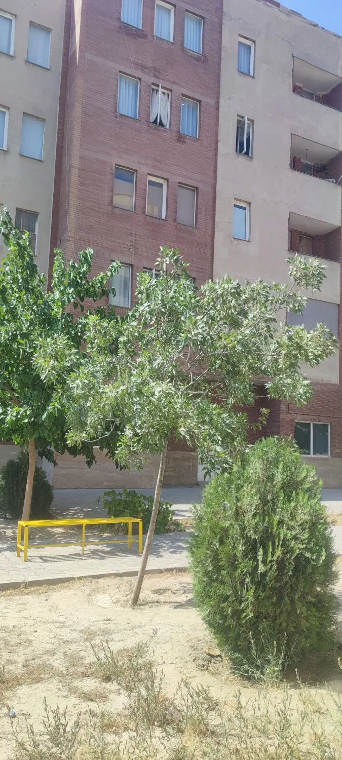 مجتمع برند بلوک وی آی پی
