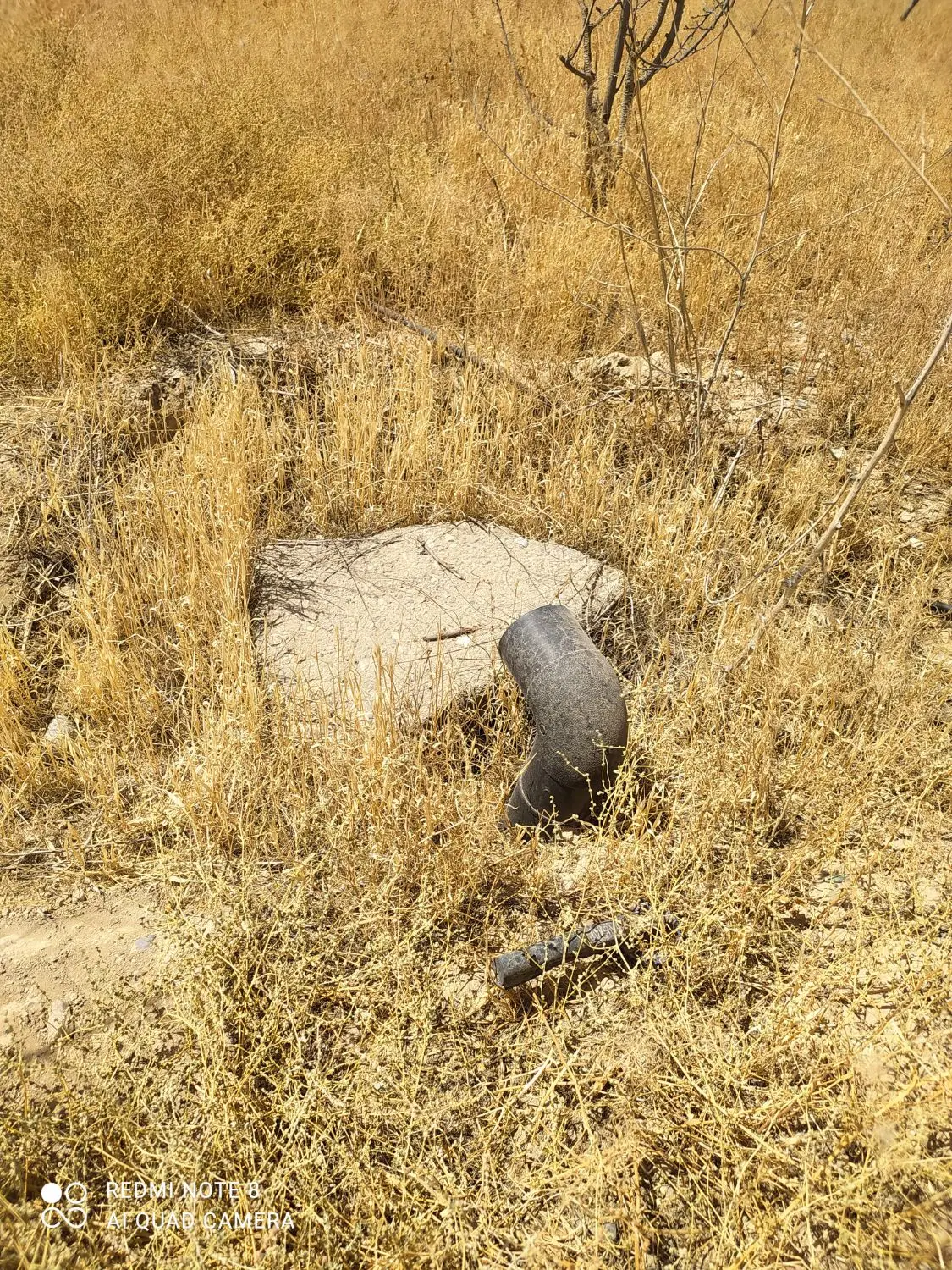 باغ شهرتنکمان
