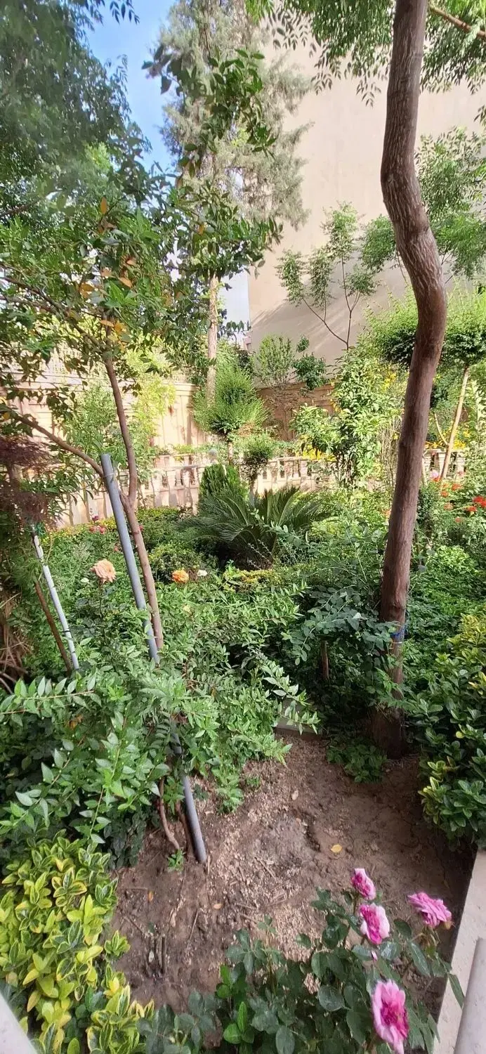 ۲۵۵ متر ، ۴ خواب ، سهروردی جنوبی