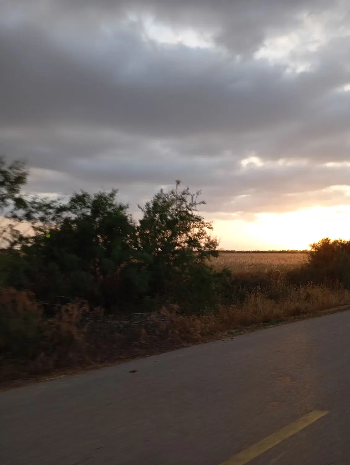 فروش زمین