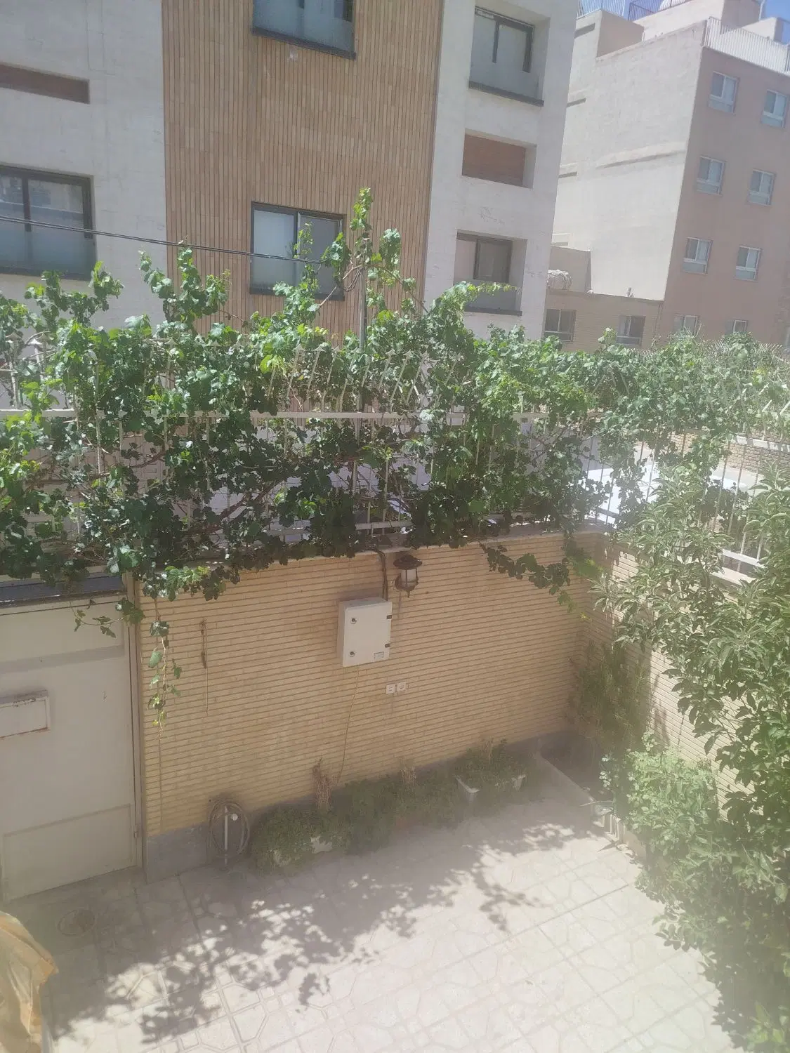 خانه اجاره‌ای