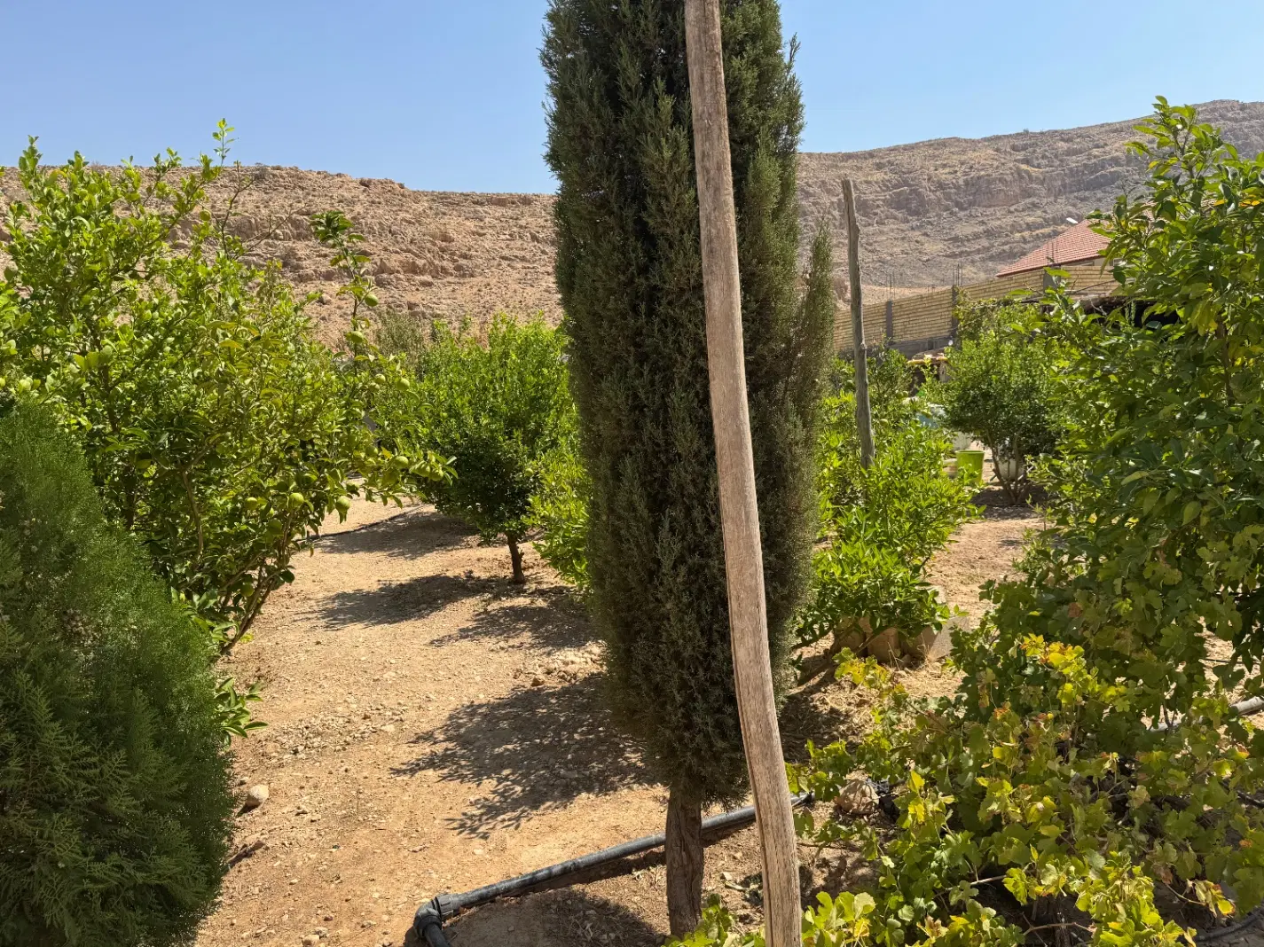 فروش باغ شهری
