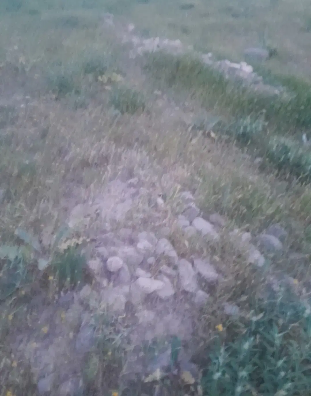 زمین فروشی روستای عباس آباد
