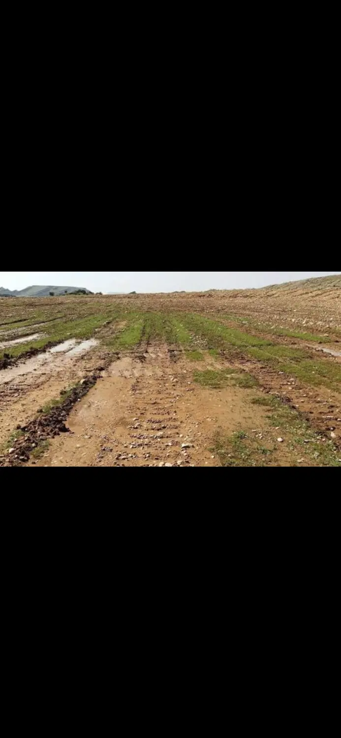 زمین کشاورزی نوترکی