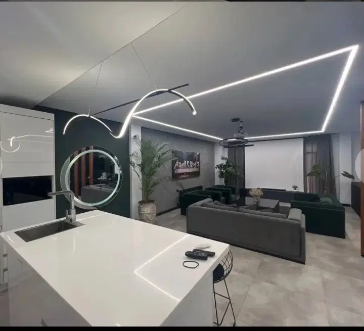 اجاره اپارتمان 55 متری بک خوابه _ تاپ لوکیشن