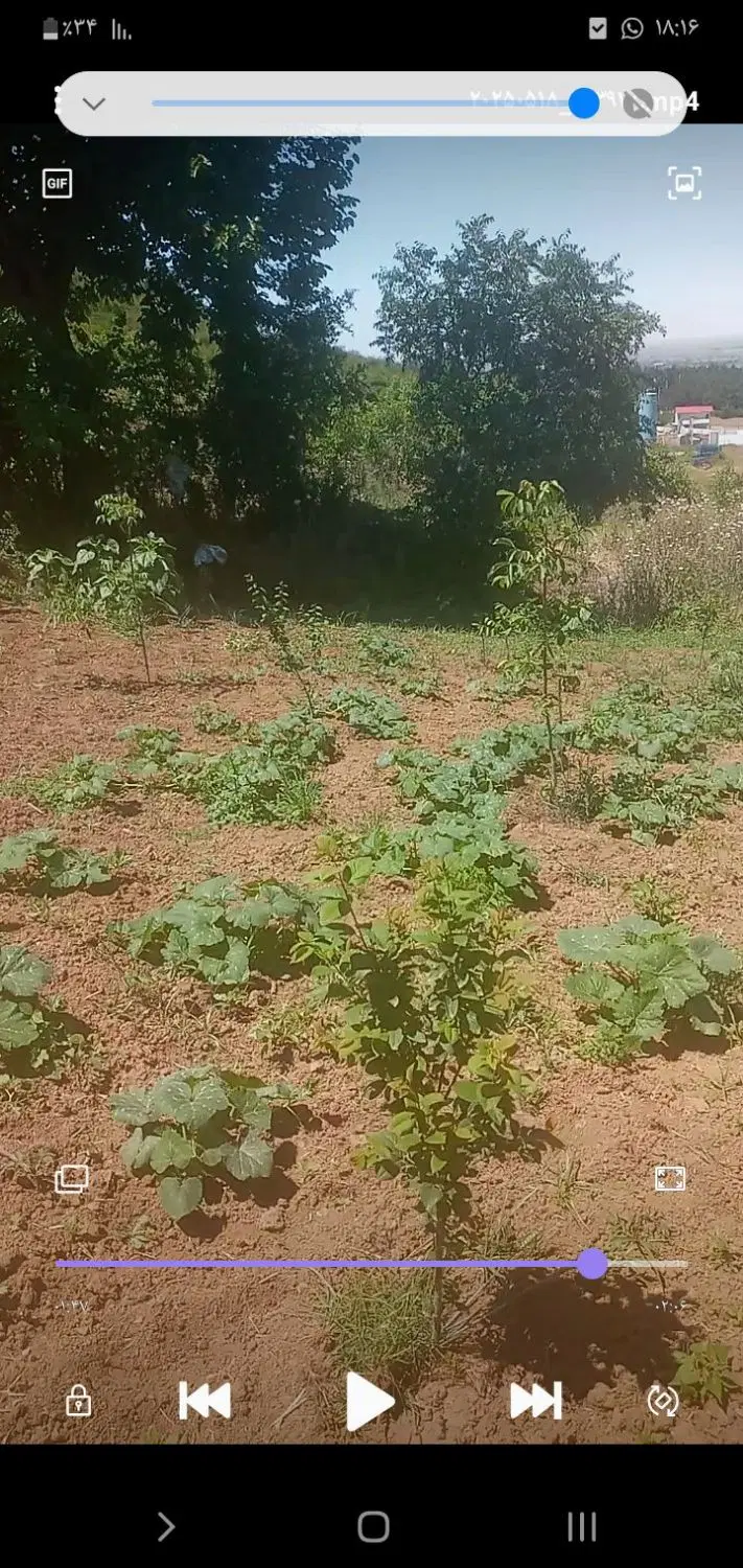 زمین باغی