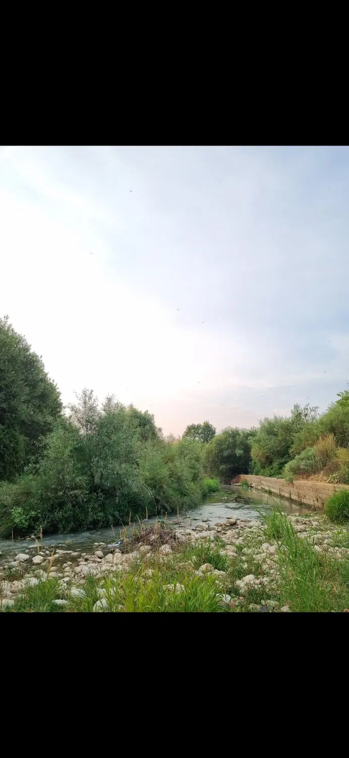 باغ سربست بهترین نقطه سربست