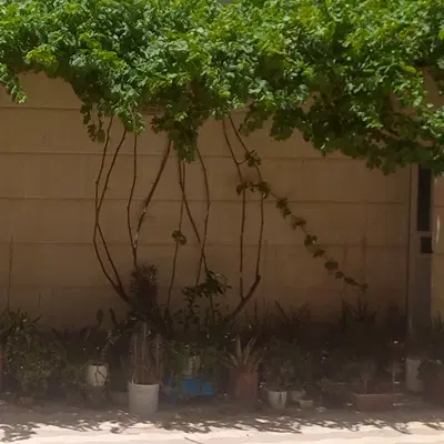 رهن کامل منزل ویلایی