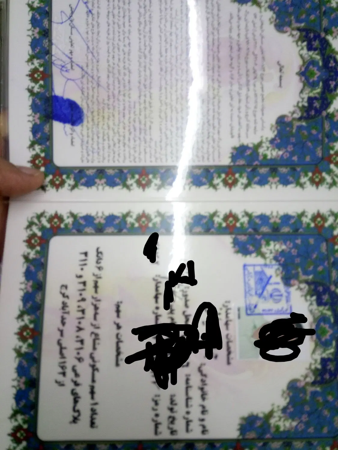 زمین داروپخش