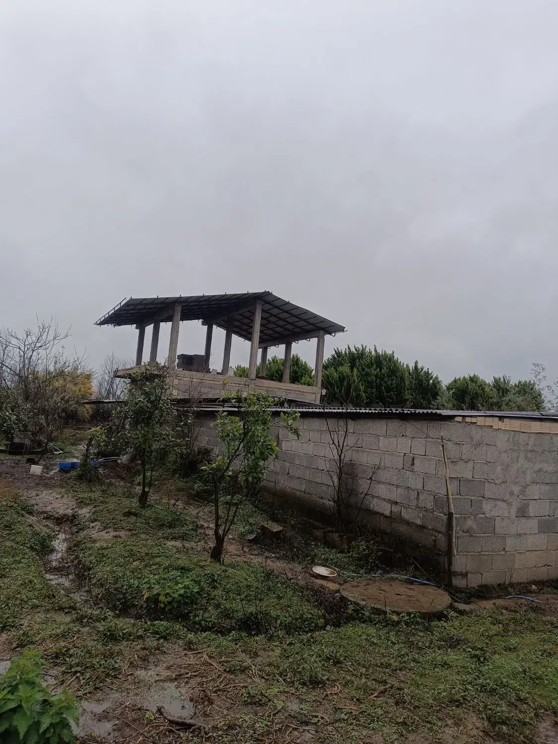 550زمین داخل بافت زرد روستای زیبای کارکو