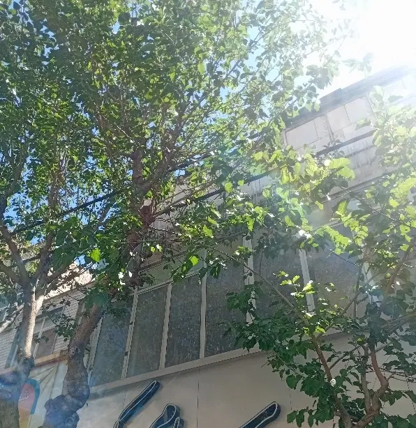 اجاره واحد ۵۰ متری موقعیت اداری