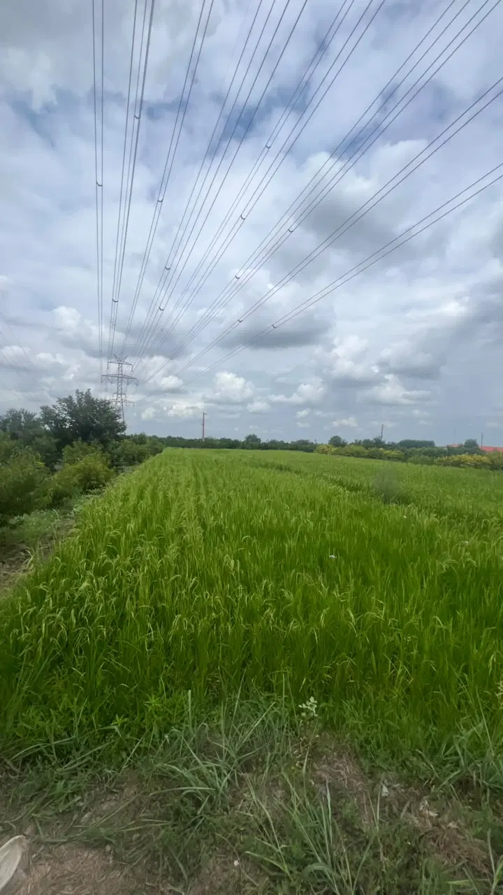 ۵۰۰متر اجازه ۳۸ متر مسکونی انشعابات پای ملک
