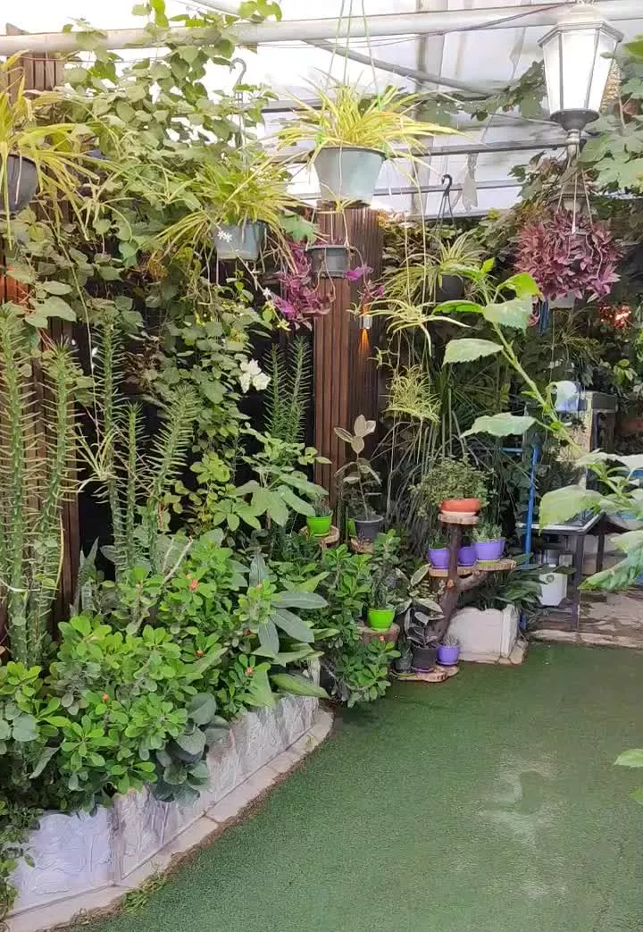 فروش باغ در ماهان