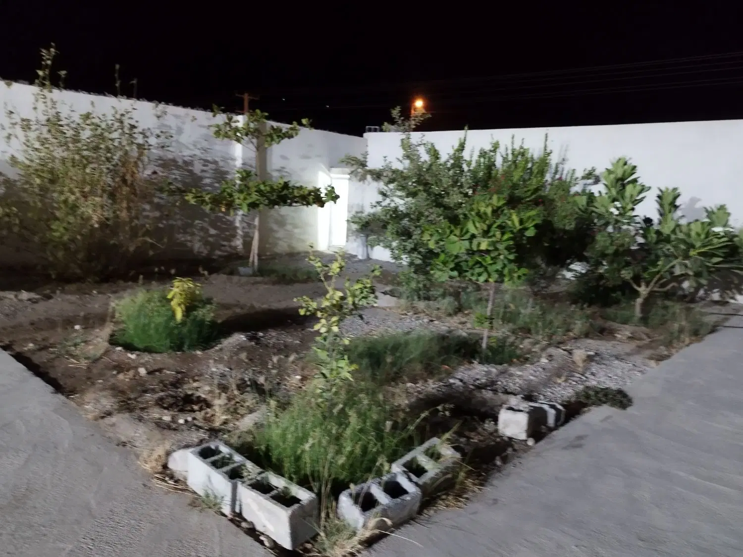 ایسین محله نو