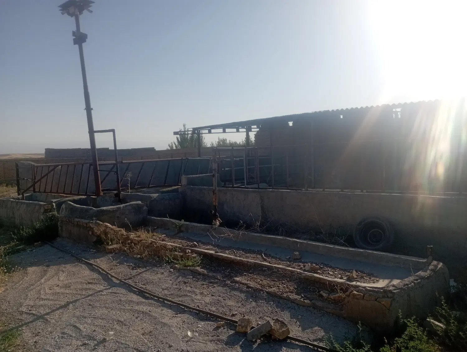 اجاره گاوداری