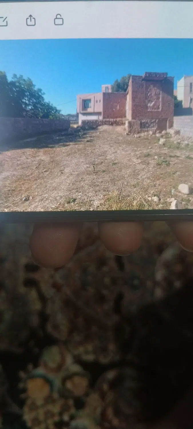 زمین
