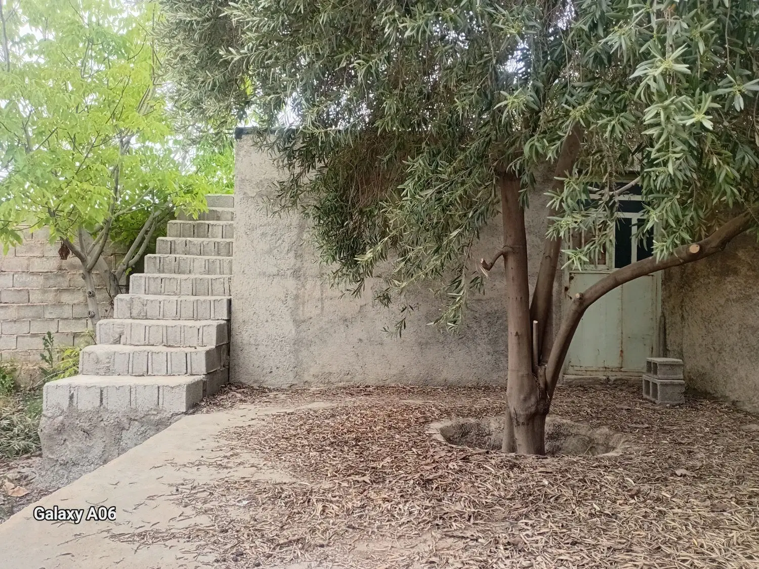 باغ شهری