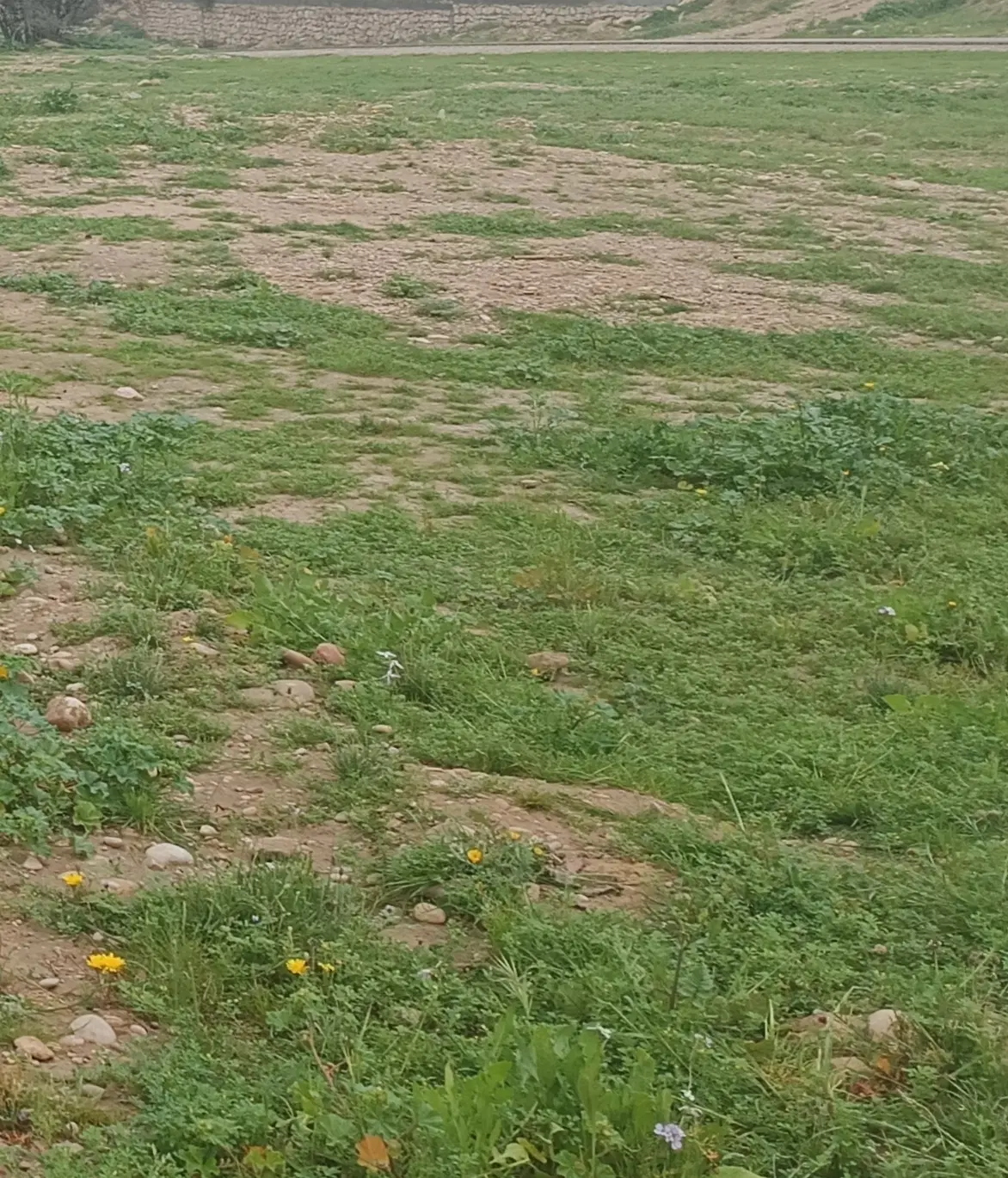 فروش زمین کنار شرکت نفت