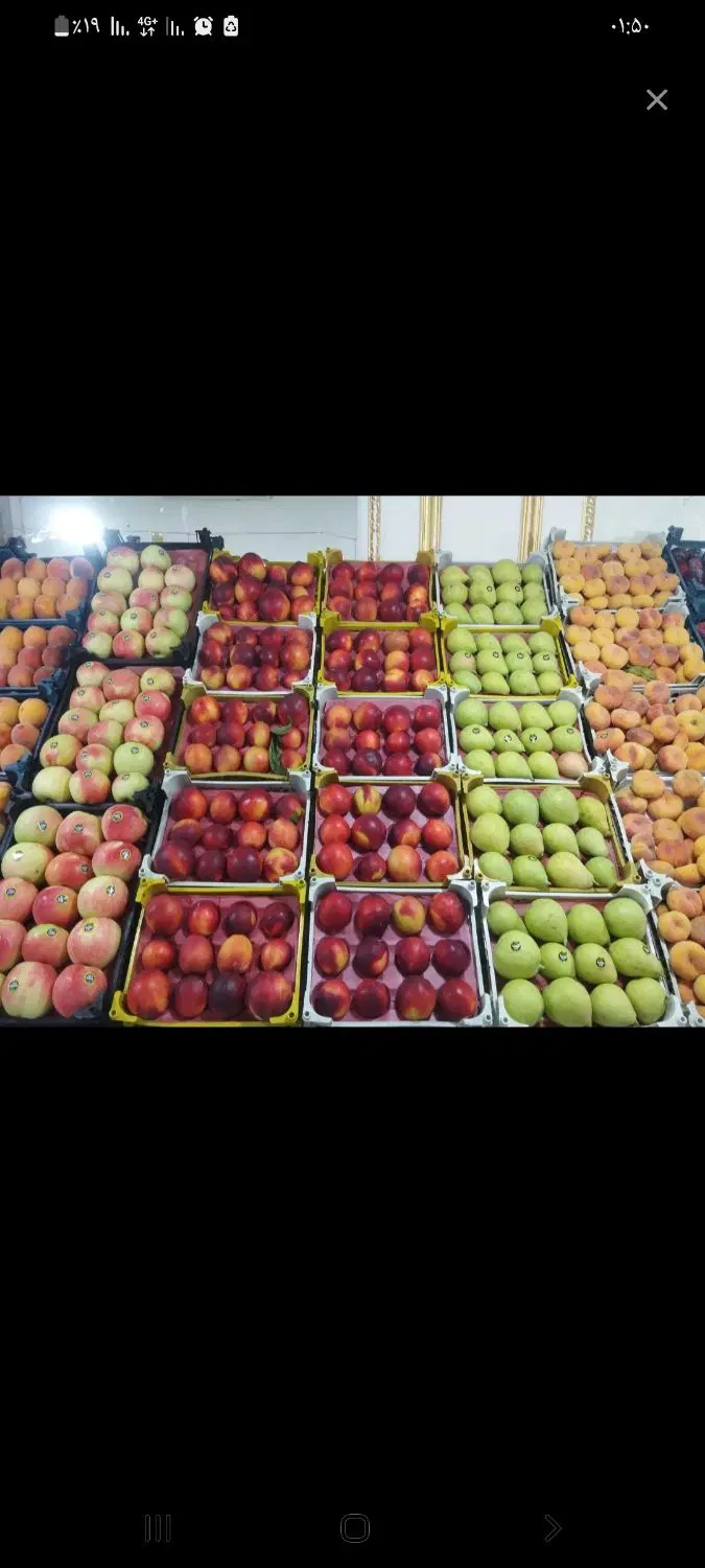 واگذاری میوه فروشی با سود بالا